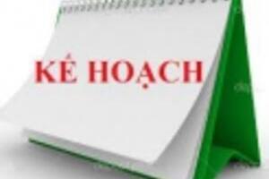 Kế hoạch thi học sinh giỏi cấp trường